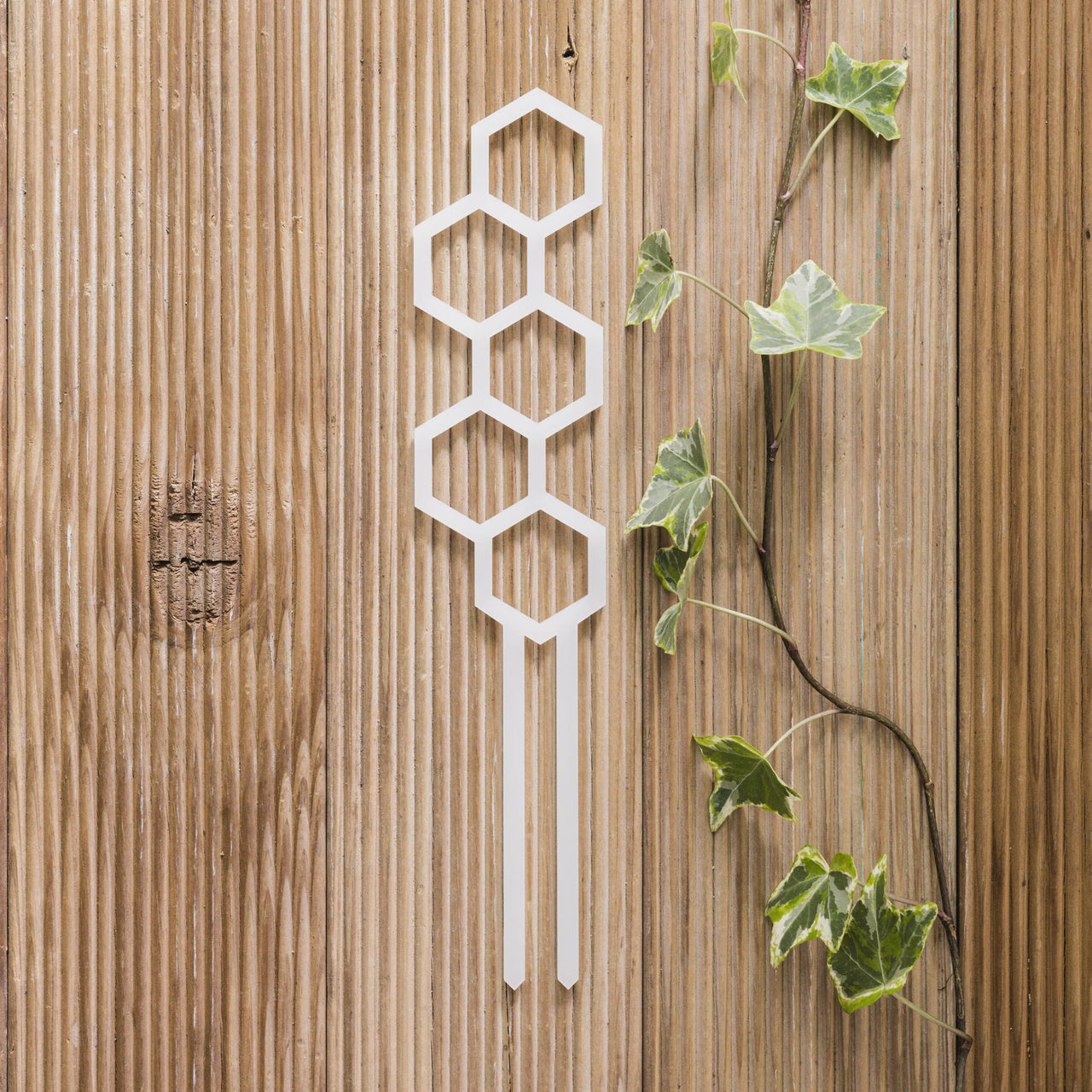 Water Bee Plant Climber - White