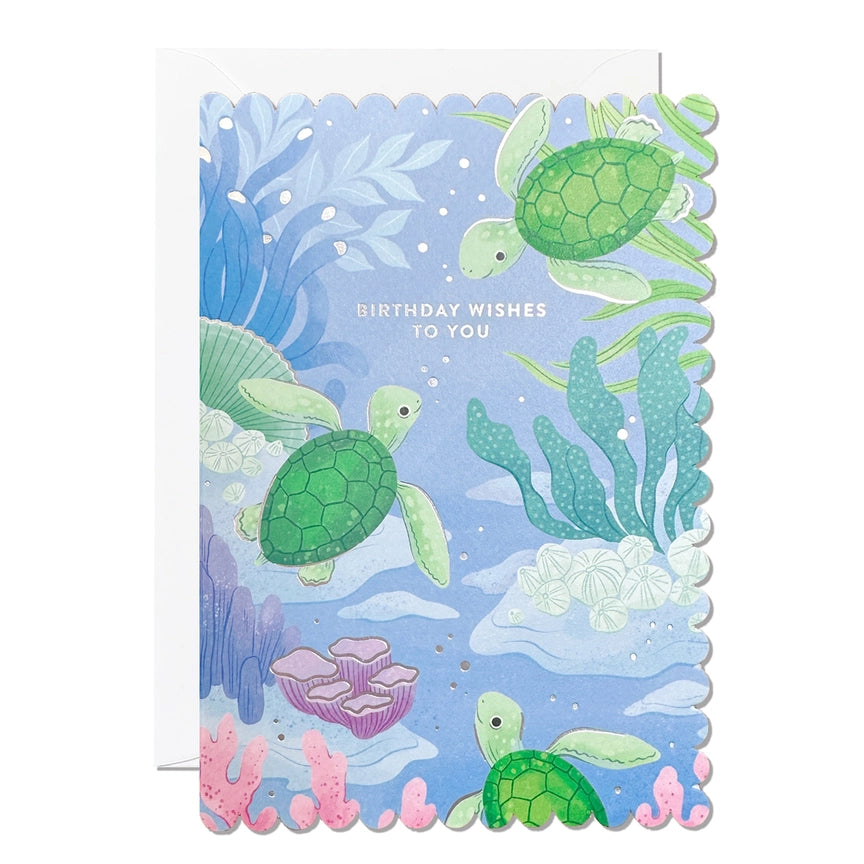 Turtle Birthday Wishes Card