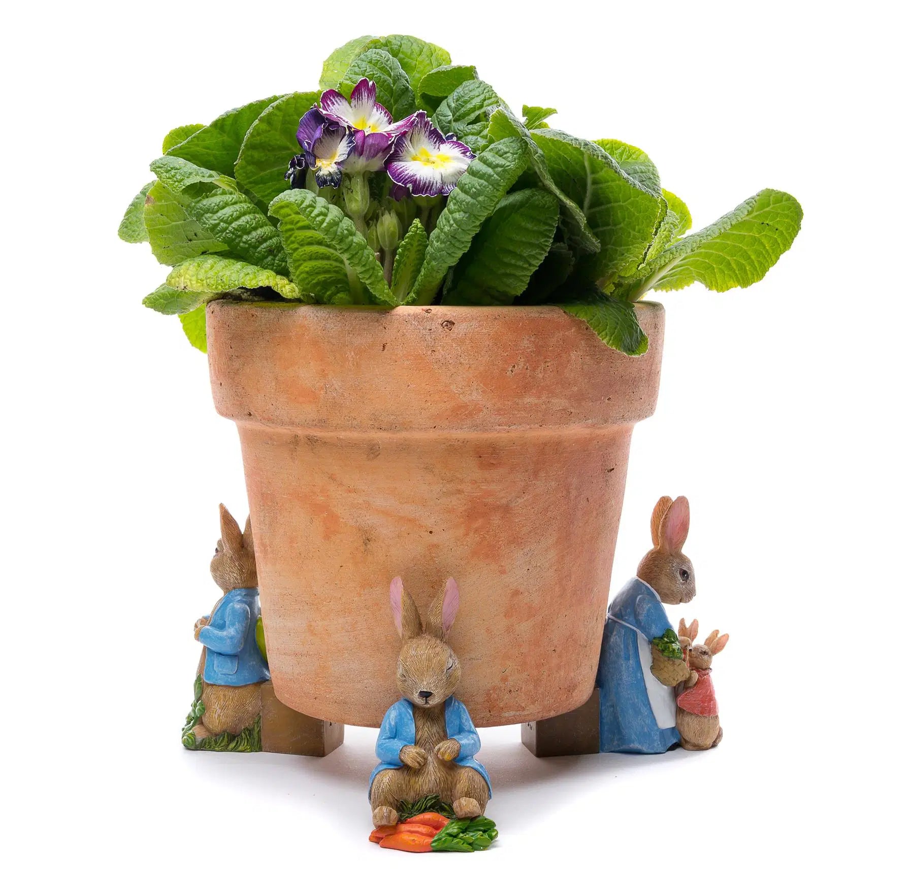 Potty Feet Set of 3 - Beatrix Potter #5
