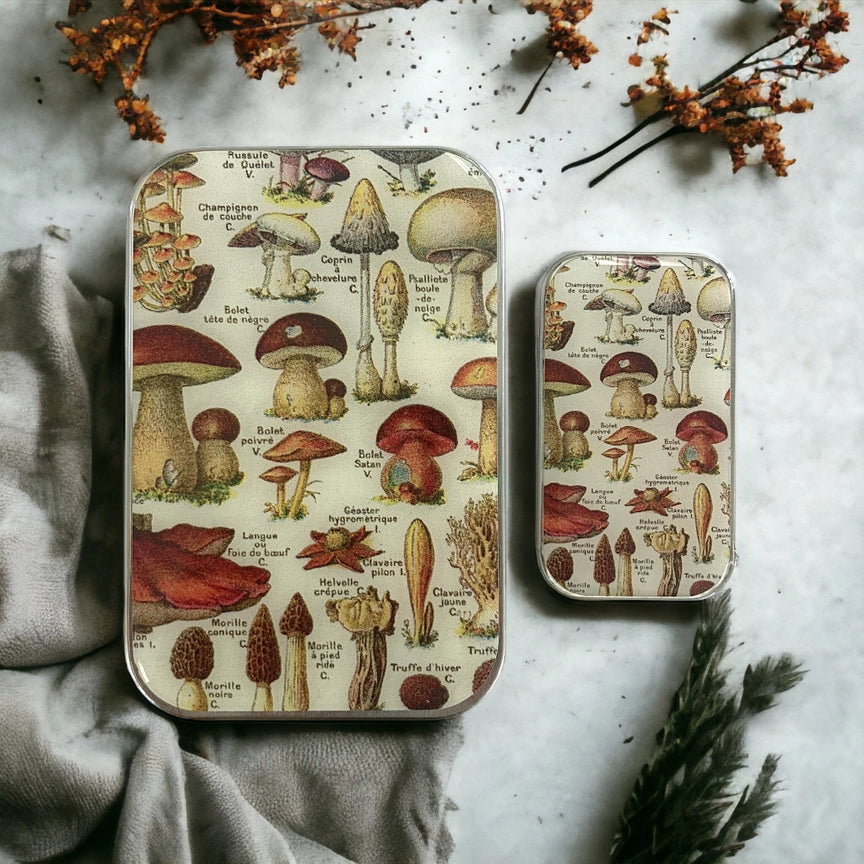 Notions Tin Small - Mushroom