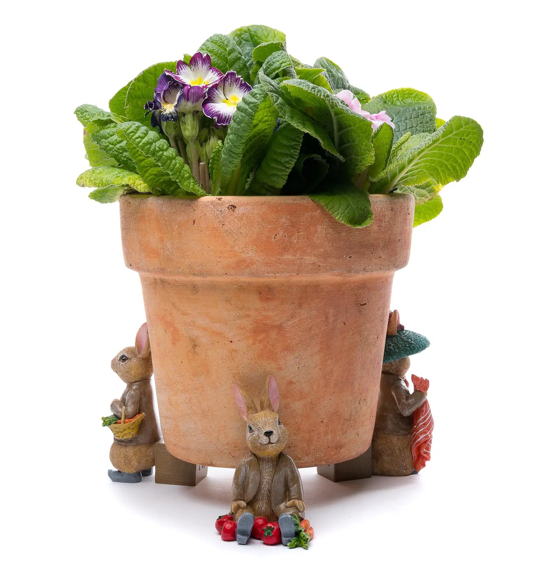 Potty Feet Set of 3 - Beatrix Potter Set 2