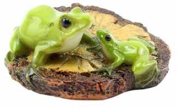 2 Frogs on Wooden Lily Pad