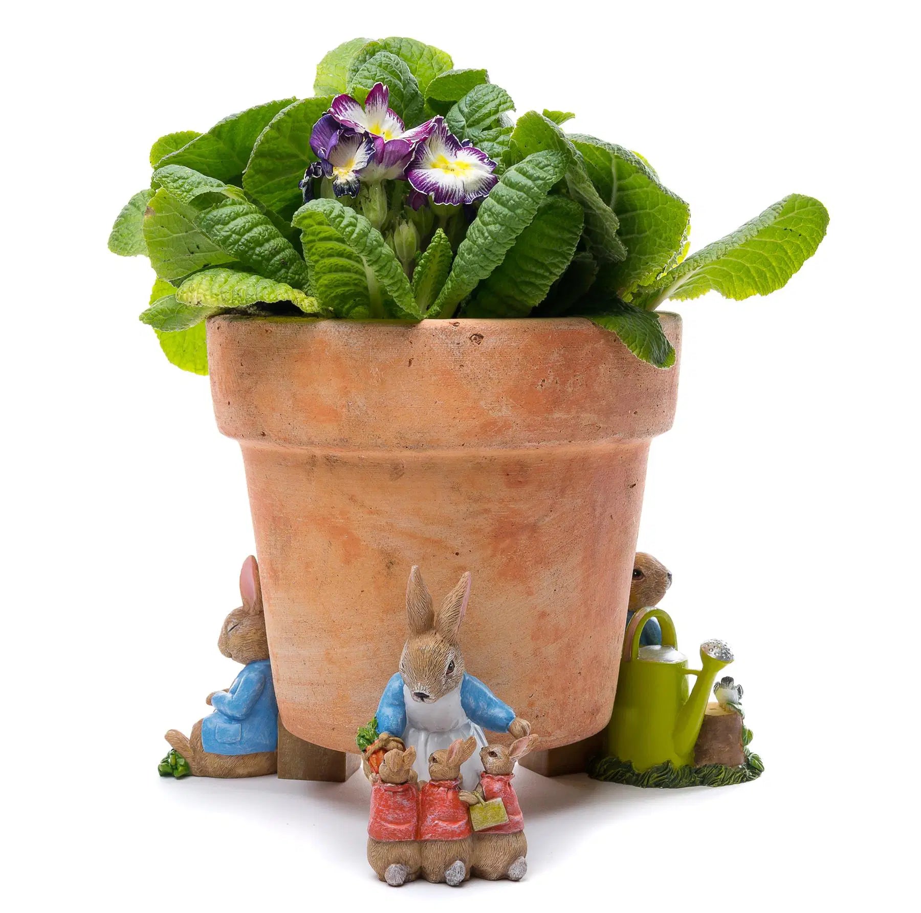 Potty Feet Set of 3 - Beatrix Potter #5