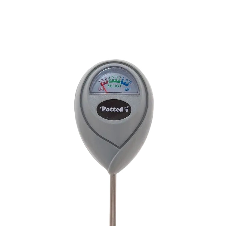 Indoor Moisture Meter - Eucalypt