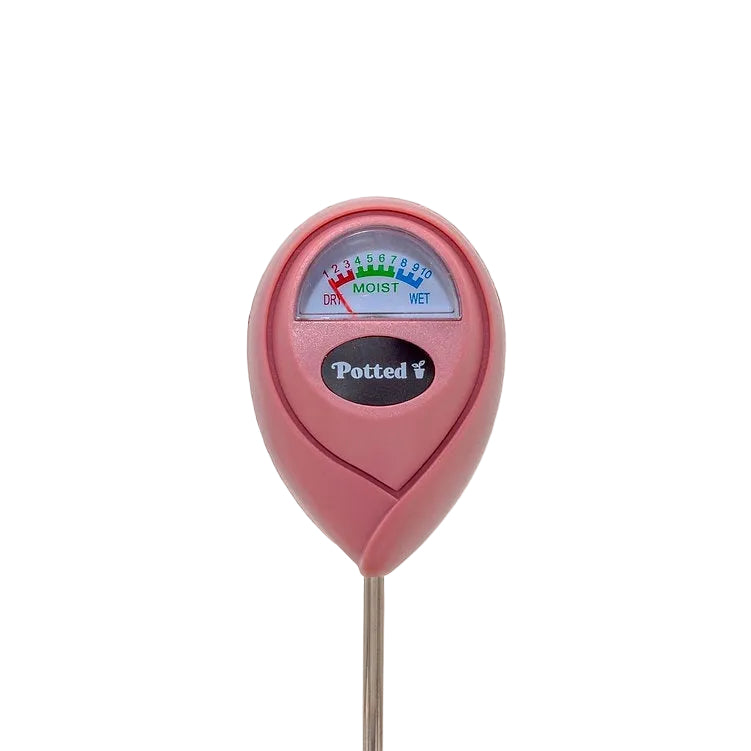 Indoor Moisture Meter - Dusty Rose