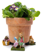 Potty Feet Set of 3 - Beatrix Potter Set 3