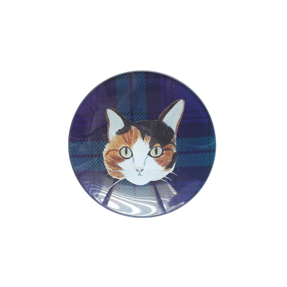 Matsuo Miyuki Glass Plate 12cm - Tabby