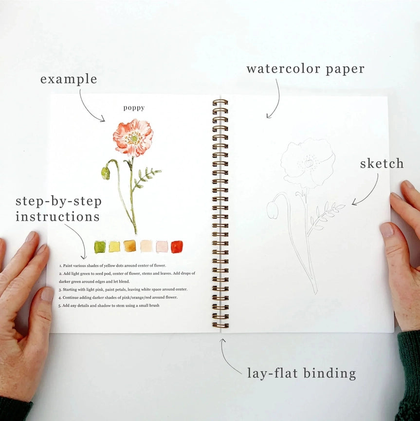 Watercolour Workbook - Flowers