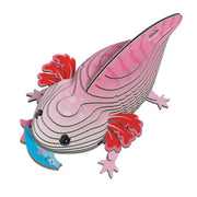 3D Cardboard Model Kit - Axolotl