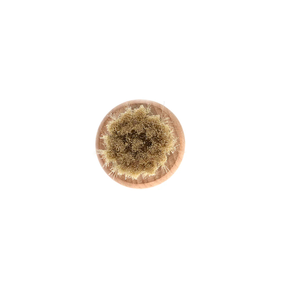 Mushroom Brush