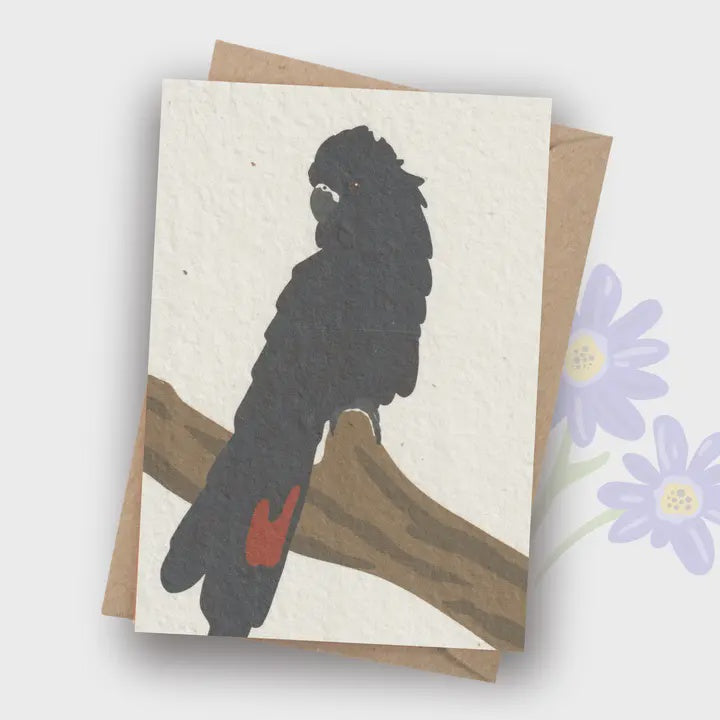Plantable Card - Red Tailed Black Cockatoo