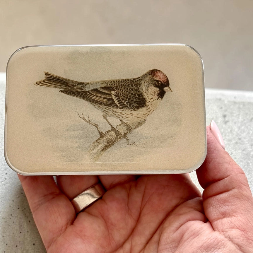 Notions Tin Large - Redpoll Bird
