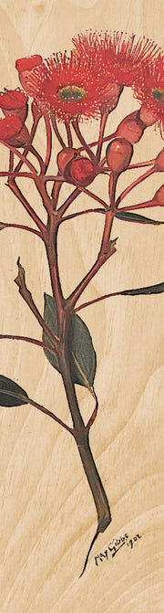 Woodhi Wooden Bookmark - Corymbia Ficifolia