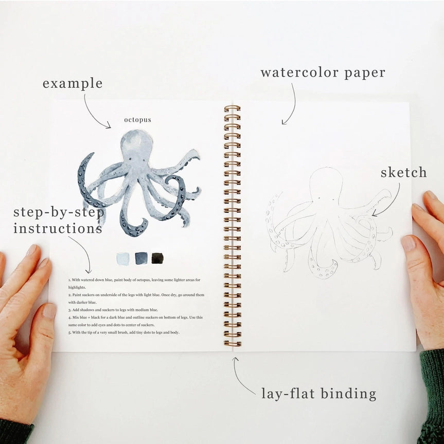 Watercolour Workbook - Seaside