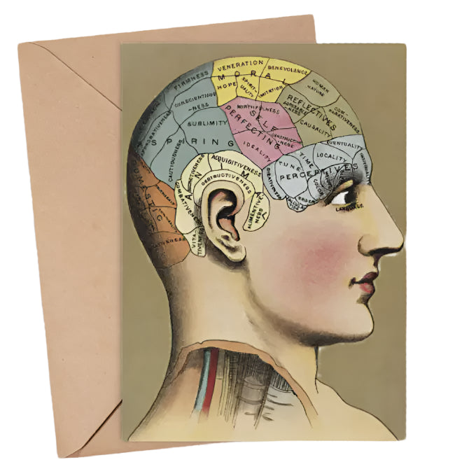 Compartments Of The Brain Card