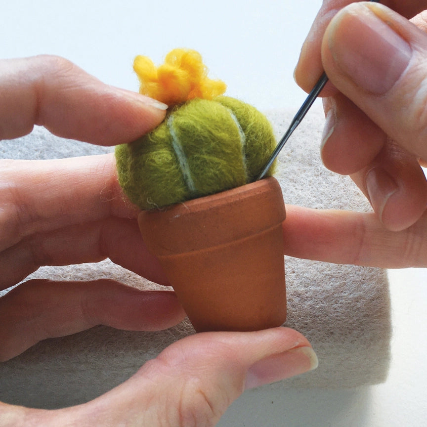 Needle Felting Kit - Cacti