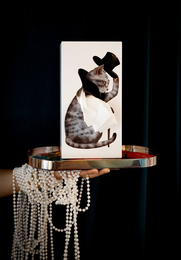 Tissue Up Tale - Catsby