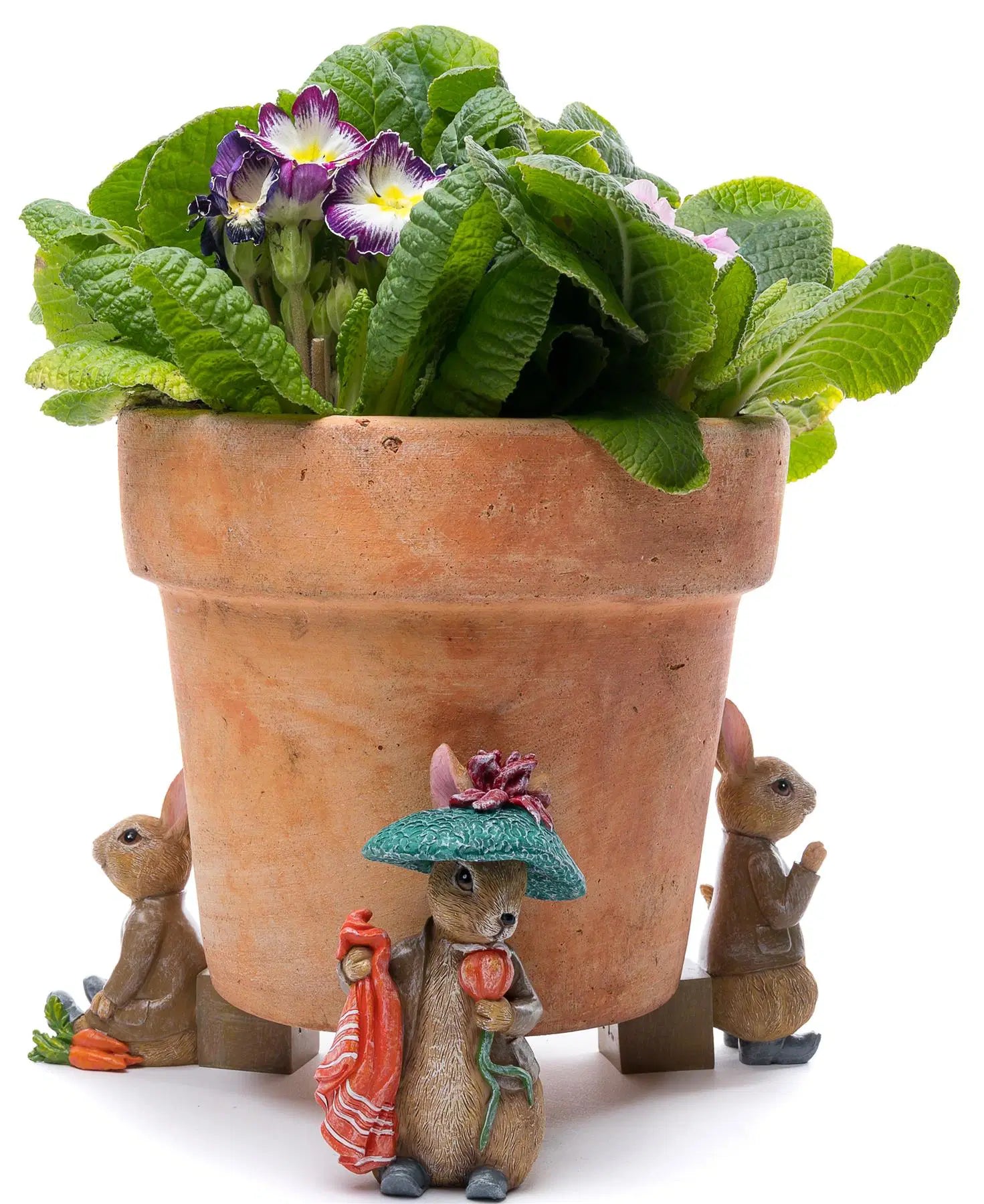 Potty Feet Set of 3 - Beatrix Potter Set 2