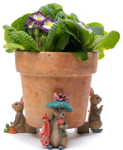 Potty Feet Set of 3 - Beatrix Potter Set 2