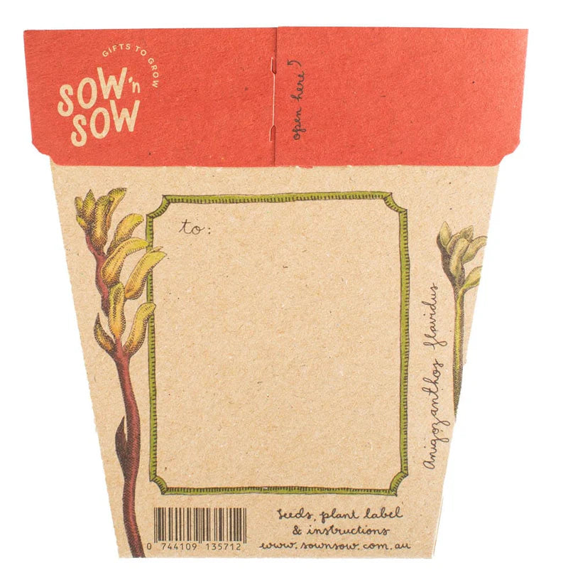 Gift of Seeds - Kangaroo Paw