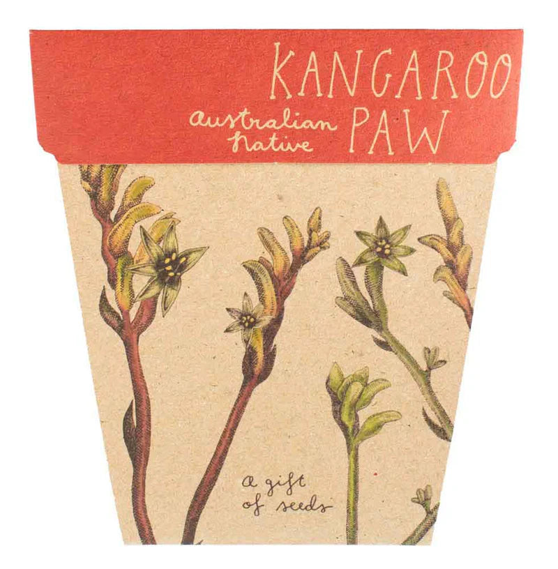 Gift of Seeds - Kangaroo Paw
