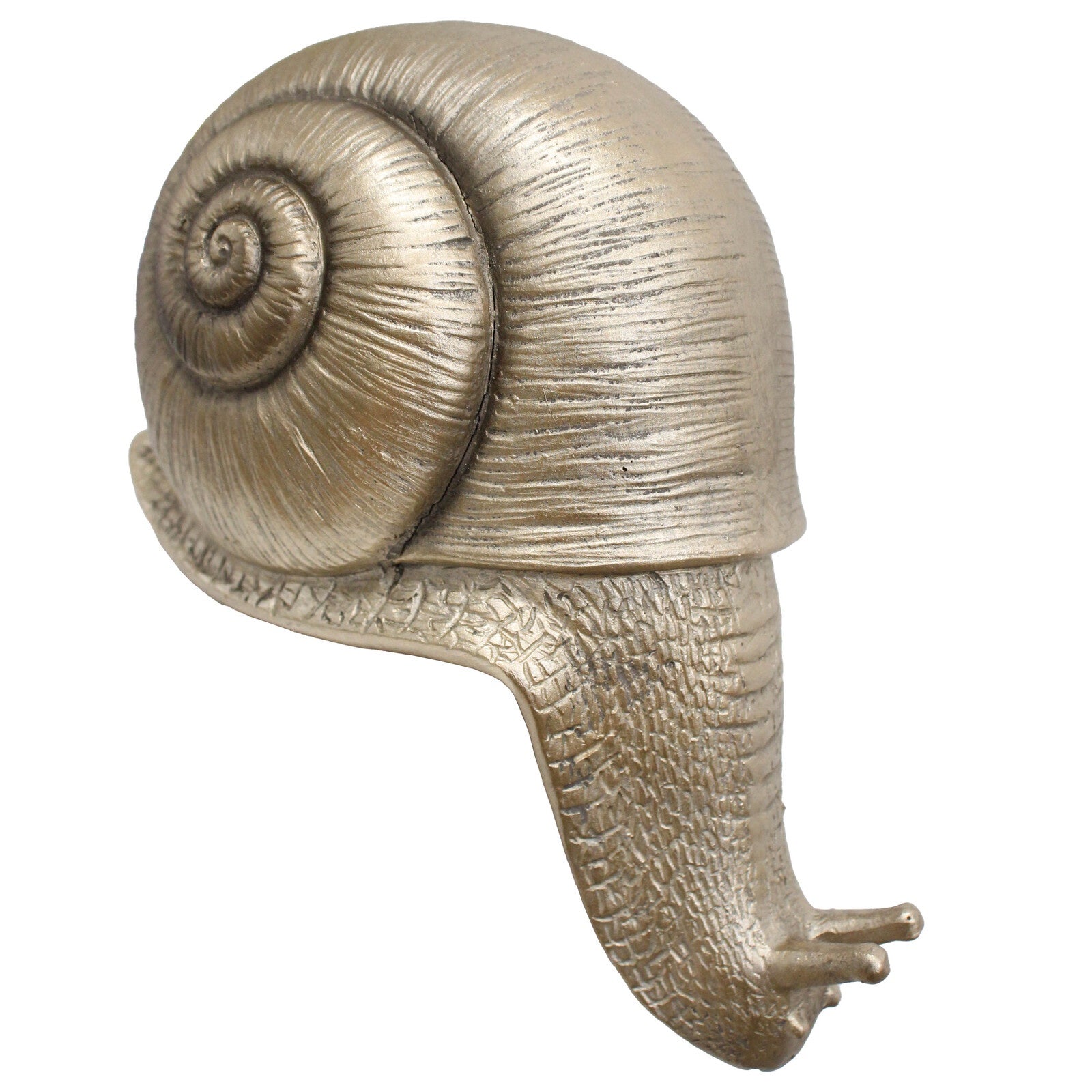 Ledge Snail - Gold