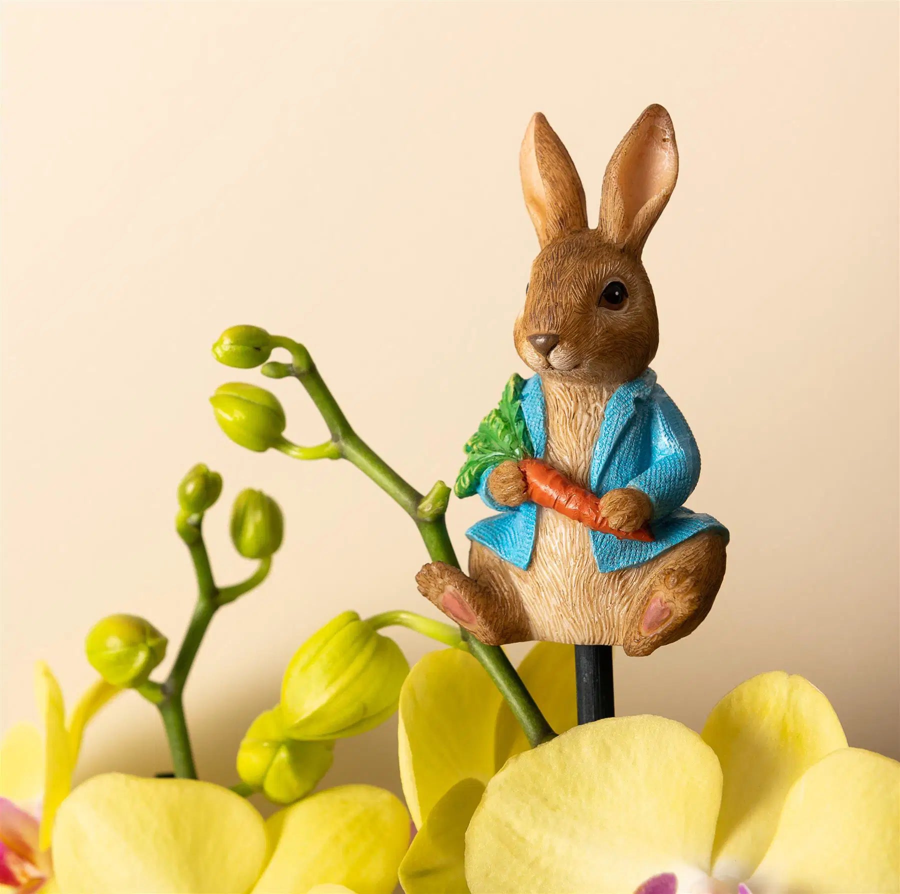 Cane Companion - Peter Rabbit
