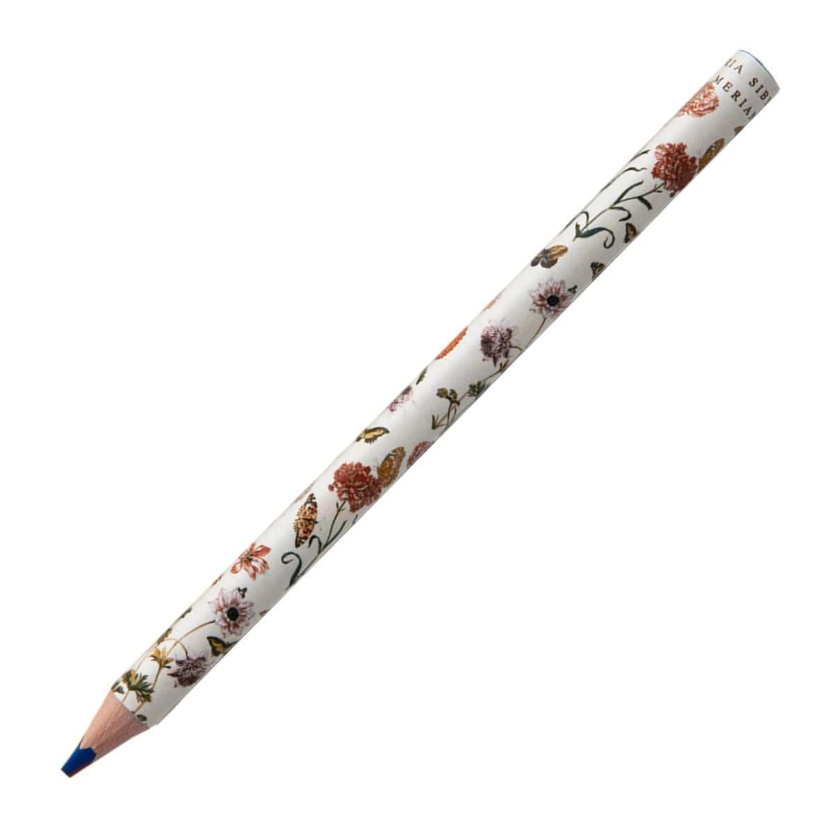 Rainbow Pencil