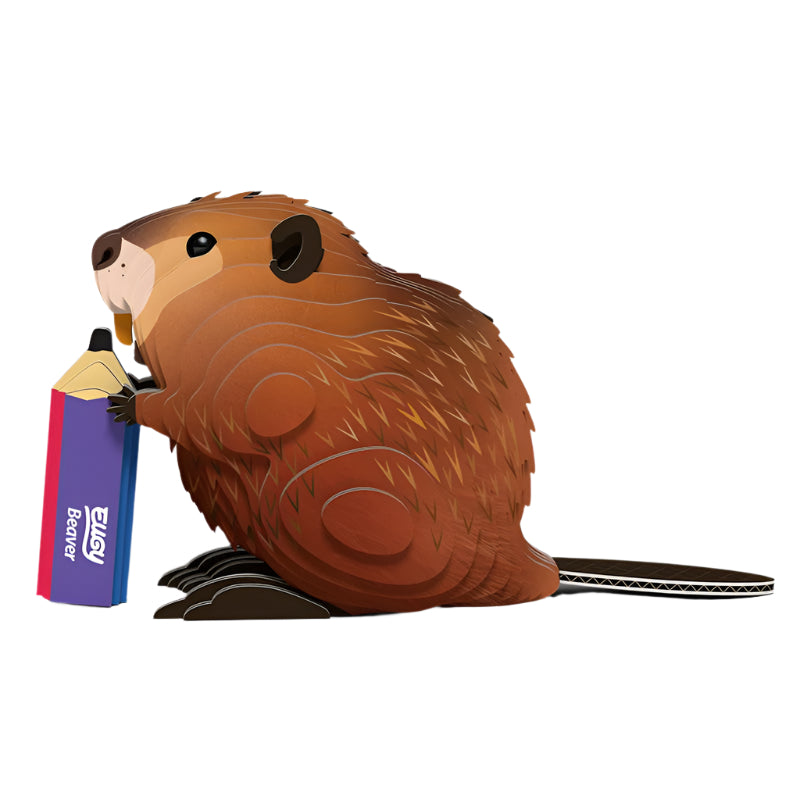 3D Cardboard Model Kit - Beaver