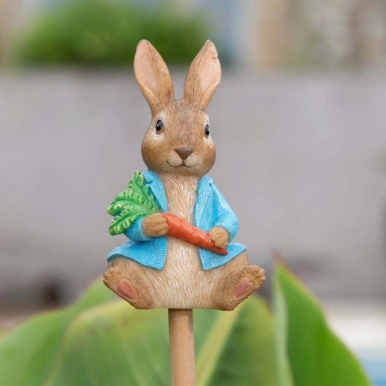 Cane Companion - Peter Rabbit