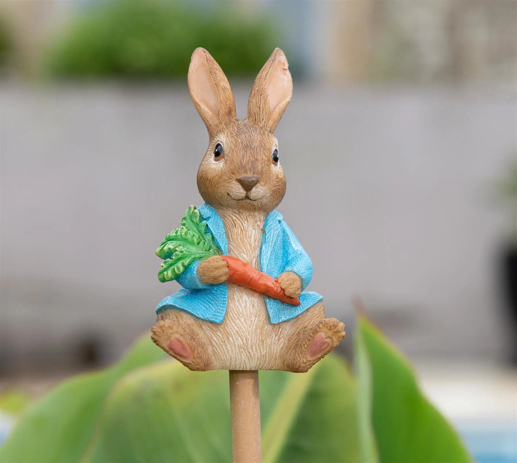 Cane Companion - Peter Rabbit