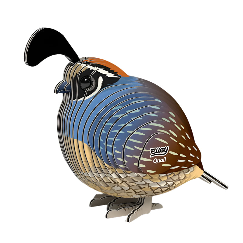 3D Cardboard Model Kit - Quail