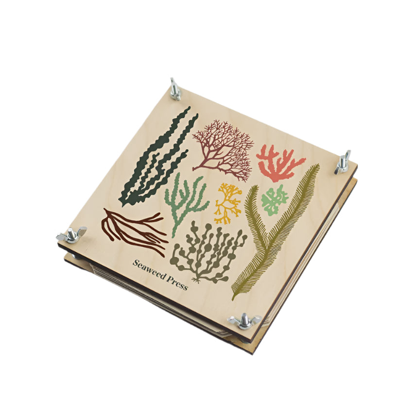 Seaweed Press Kit