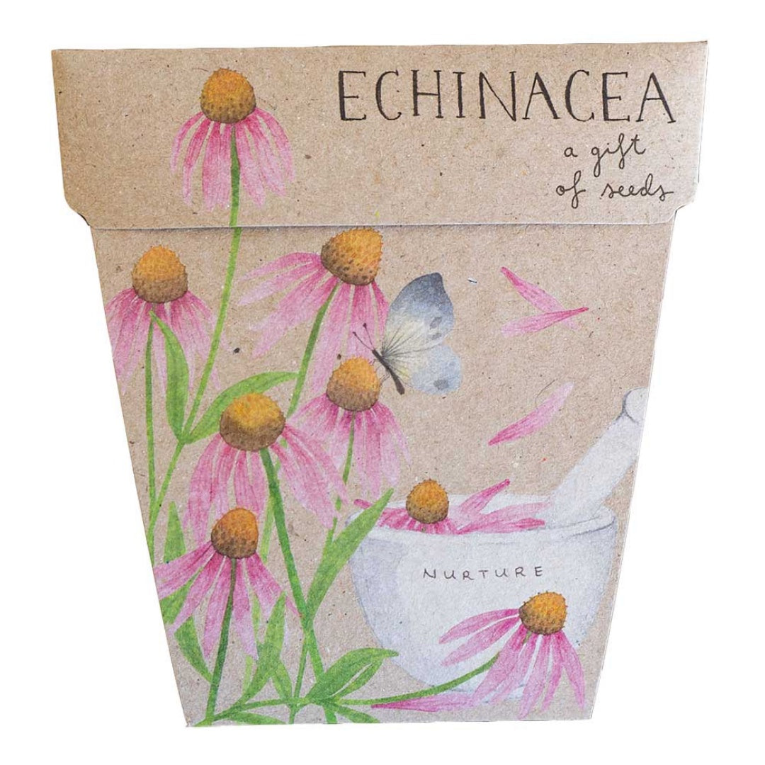 Gift of Seeds - Echinacea