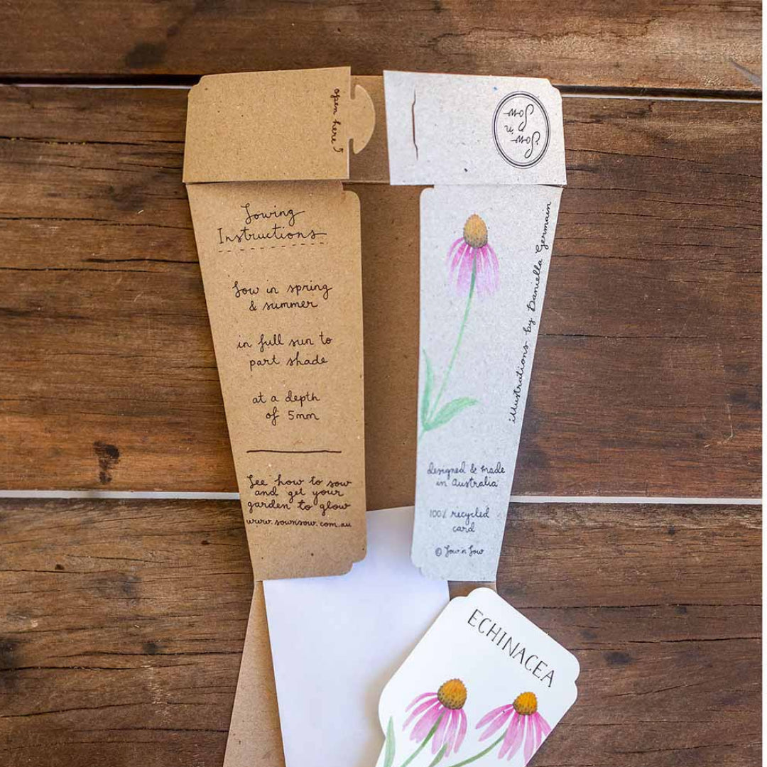 Gift of Seeds - Echinacea