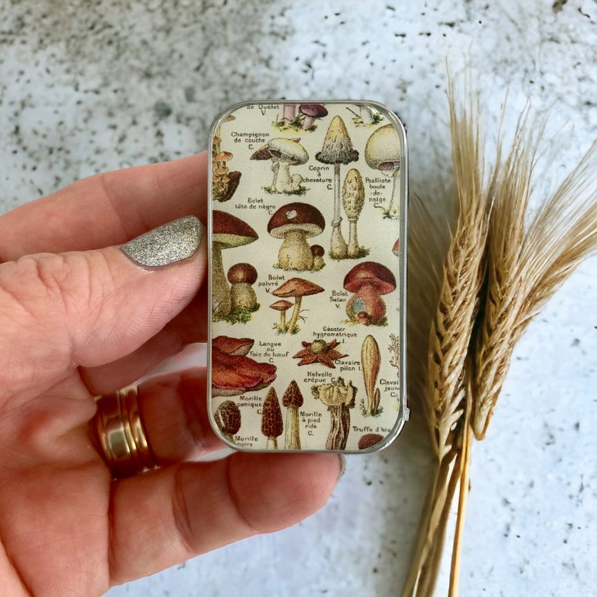 Notions Tin Small - Mushroom
