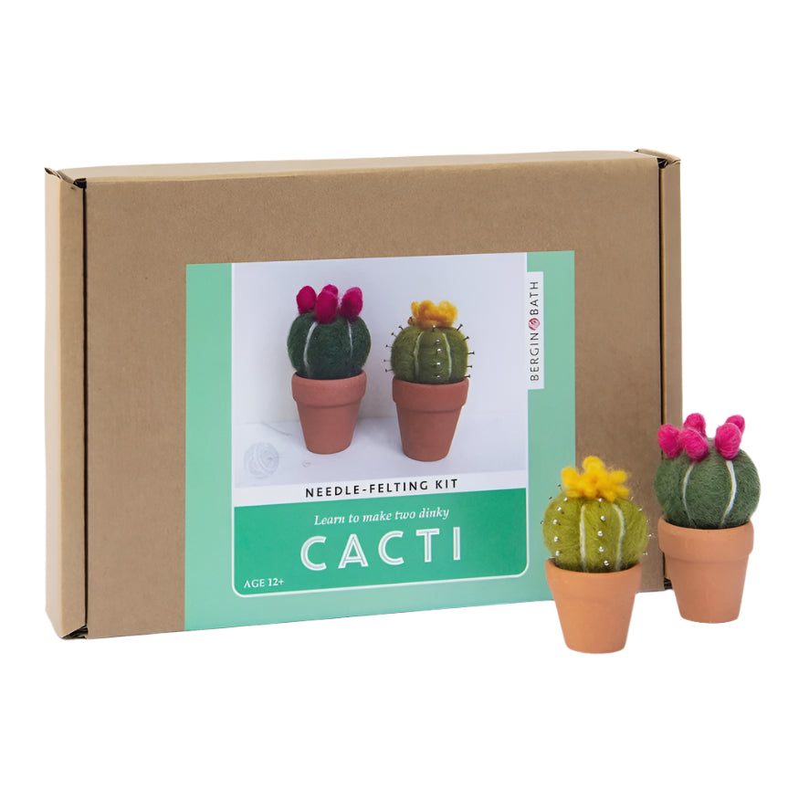 Needle Felting Kit - Cacti