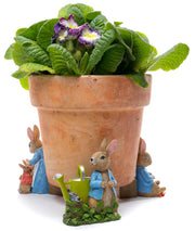 Potty Feet Set of 3 - Beatrix Potter #5