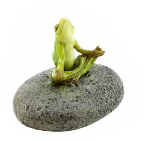 Small Zen Frog