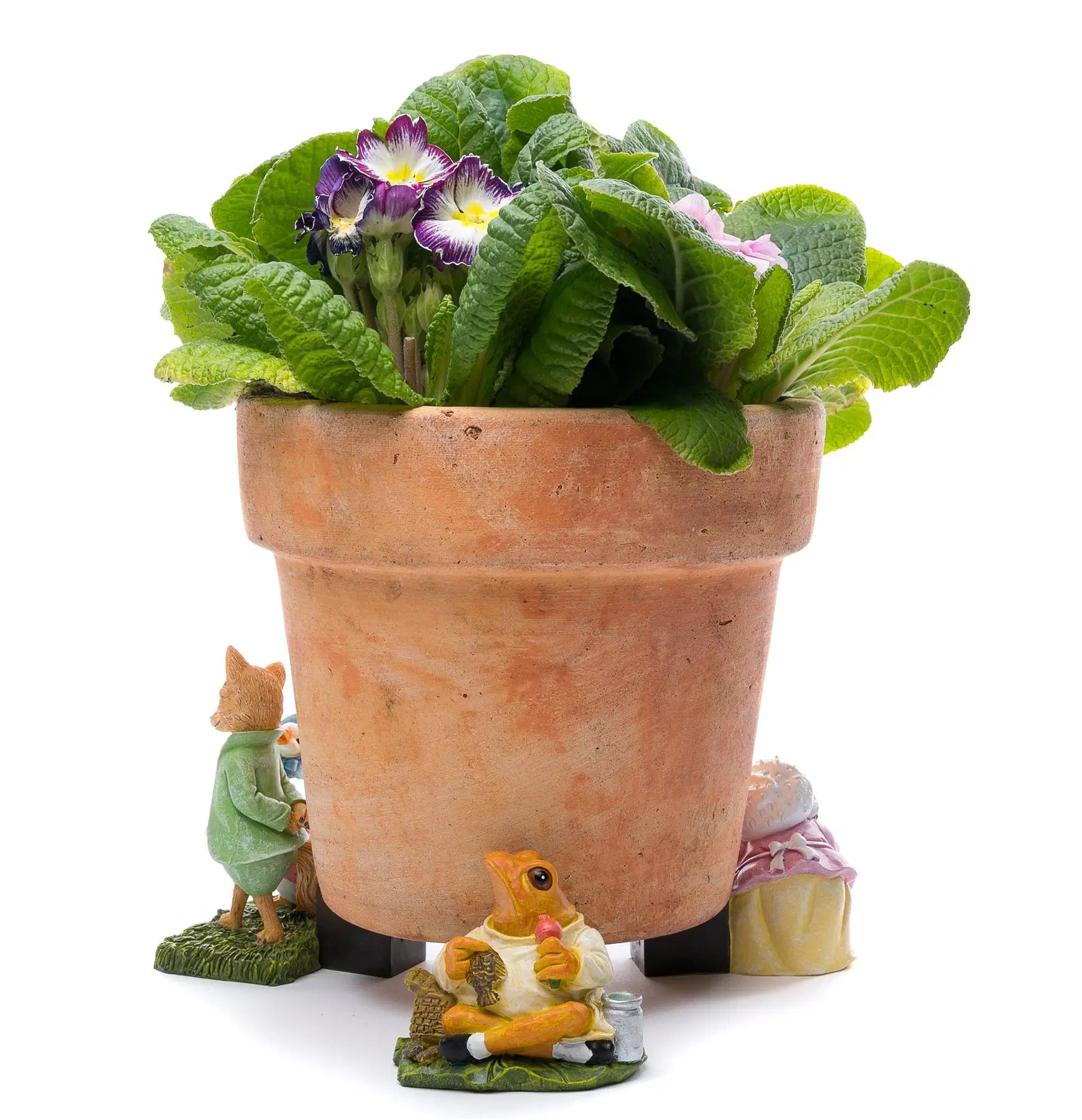 Potty Feet Set of 3 - Beatrix Potter Set 3