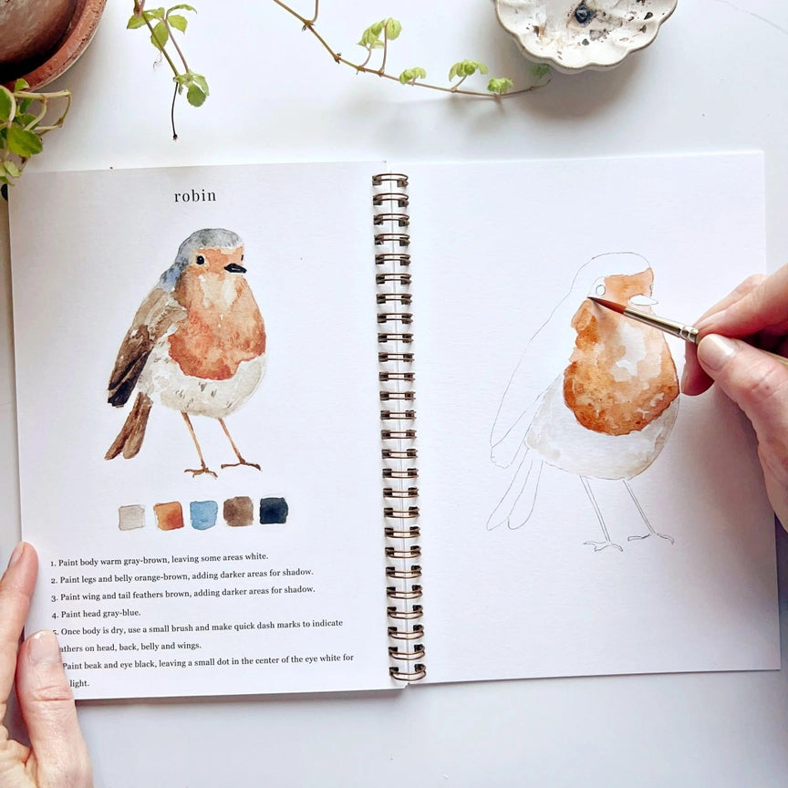Watercolour Workbook - Birds