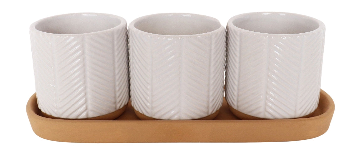 Zari Planters on Saucer