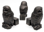 Potty Feet Set of 3 - Tawny Owl