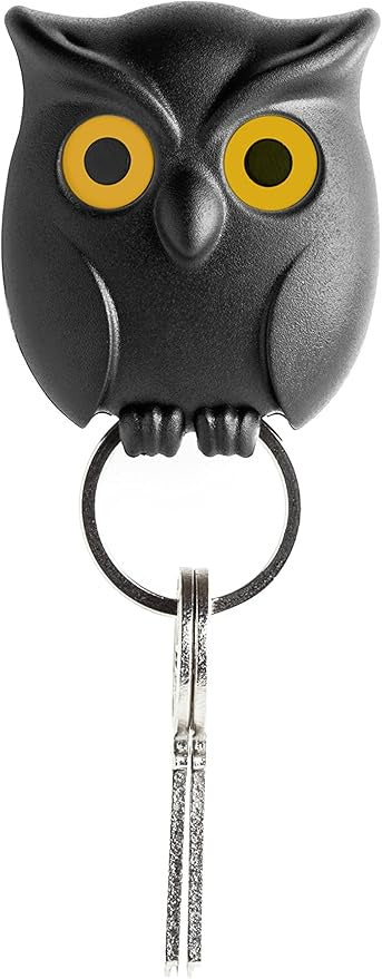 Night Owl Key Holder - Black