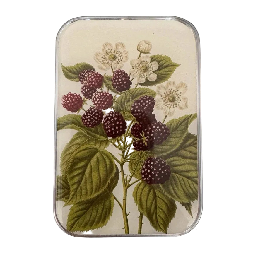 Notions Tin Large - Wild Blackberry Botanical