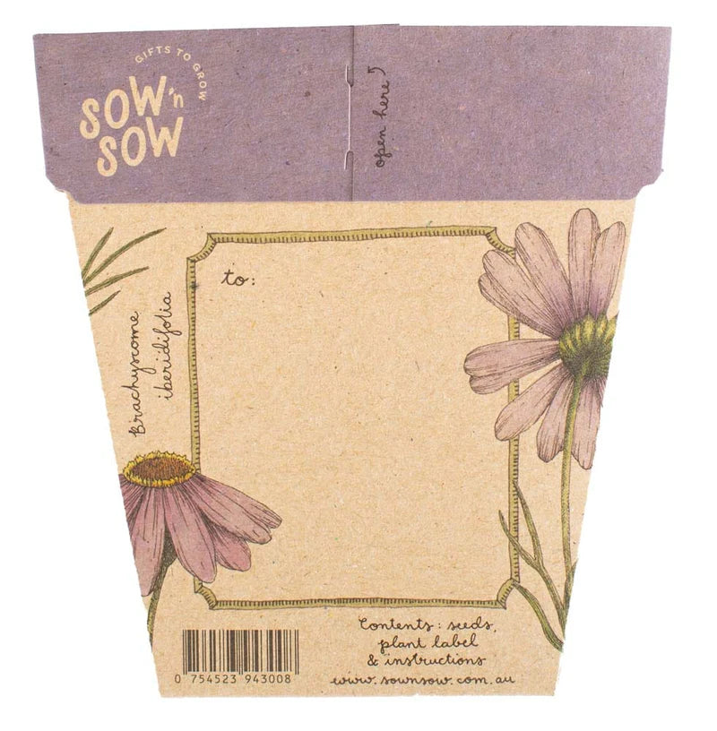 Gift of Seeds - Swan River Daisy
