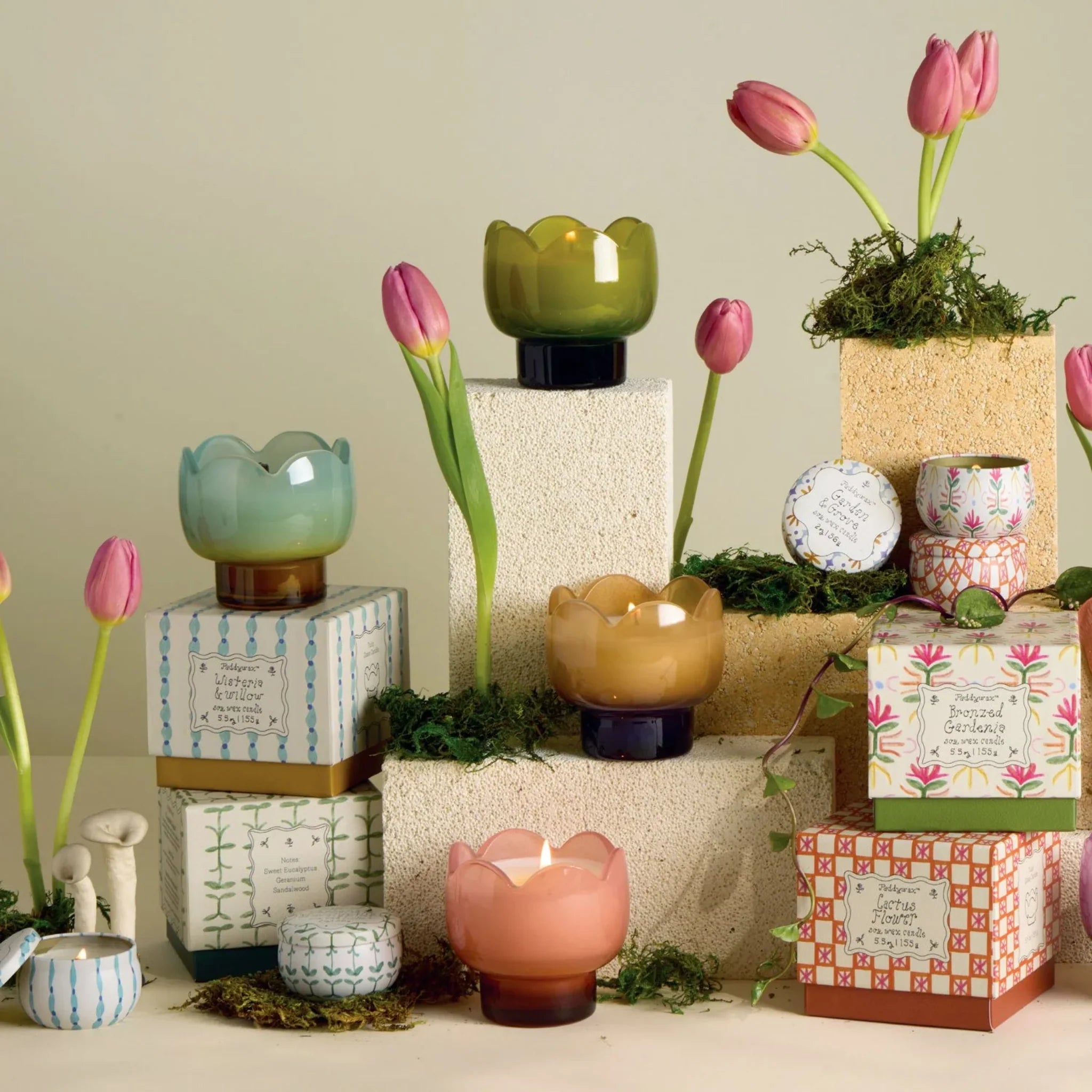 Tulip Candle - Cactus Flower