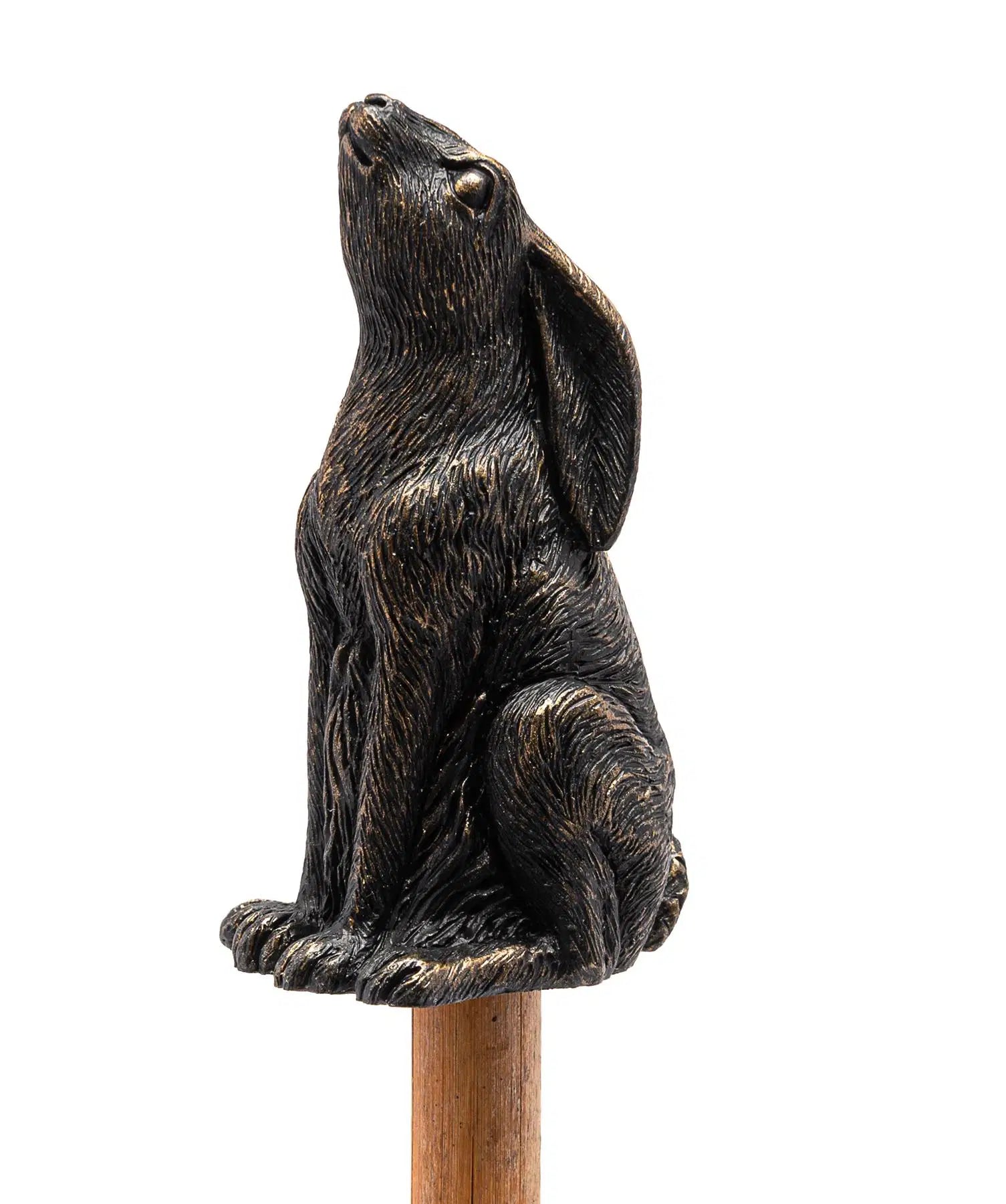Cane Companion - Moongazing Hare
