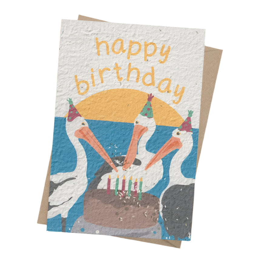 Plantable Card - Pelicans Birthday