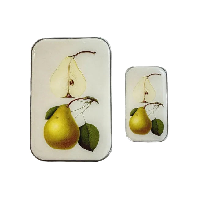 Notions Tin Small - Botanical Pear